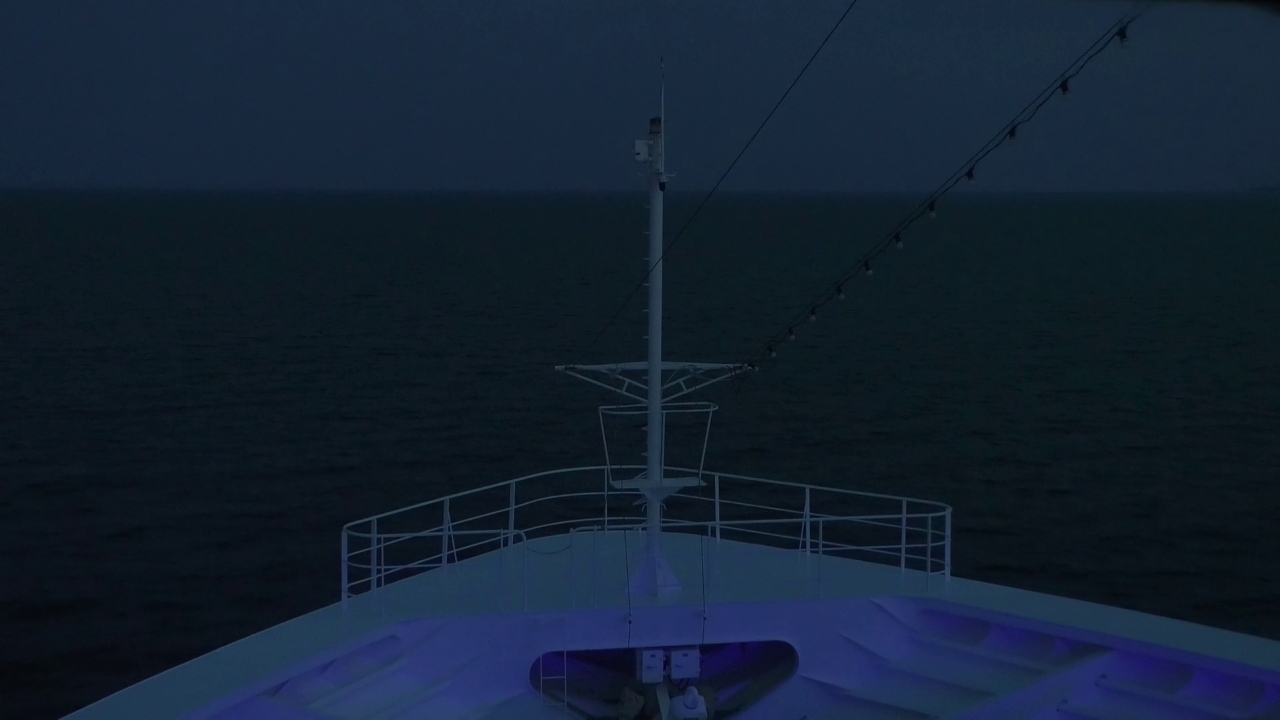 Bugcam MS Amadea