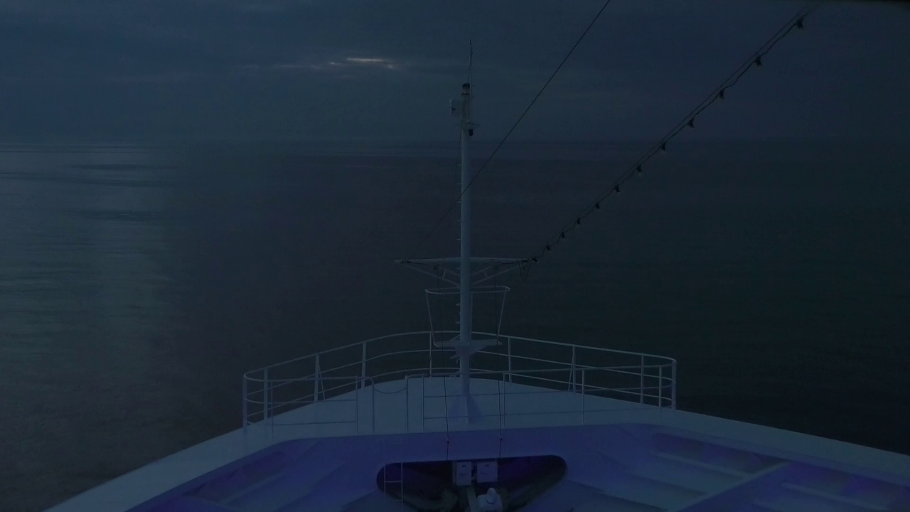 Bugcam MS Amadea