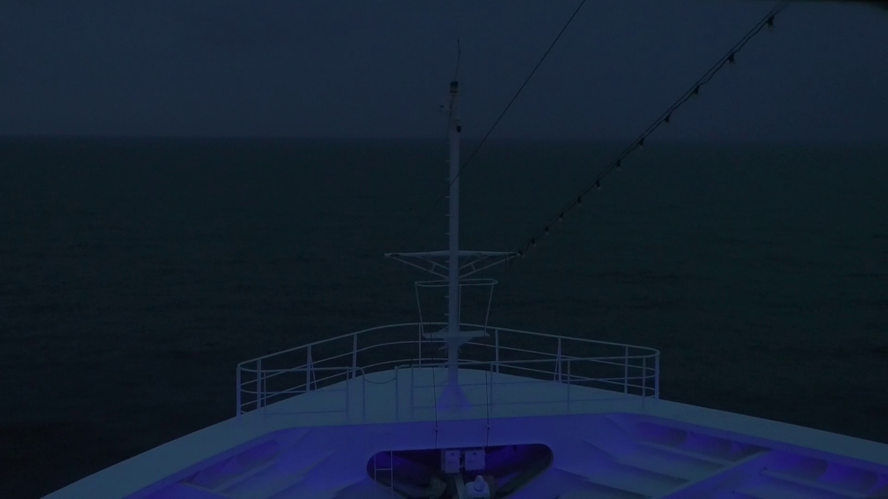 Bugcam MS Amadea