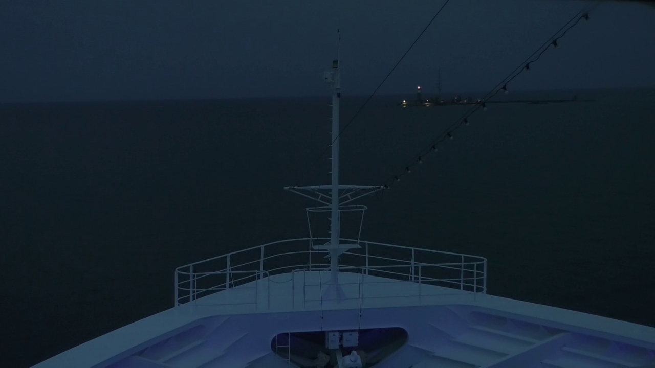 Bugcam MS Amadea