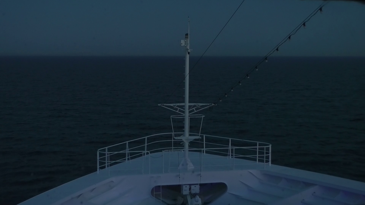 Bugcam MS Amadea