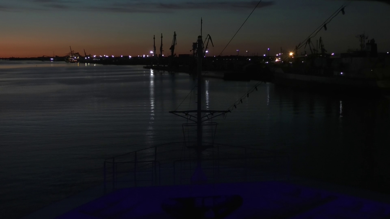Bugcam MS Amadea