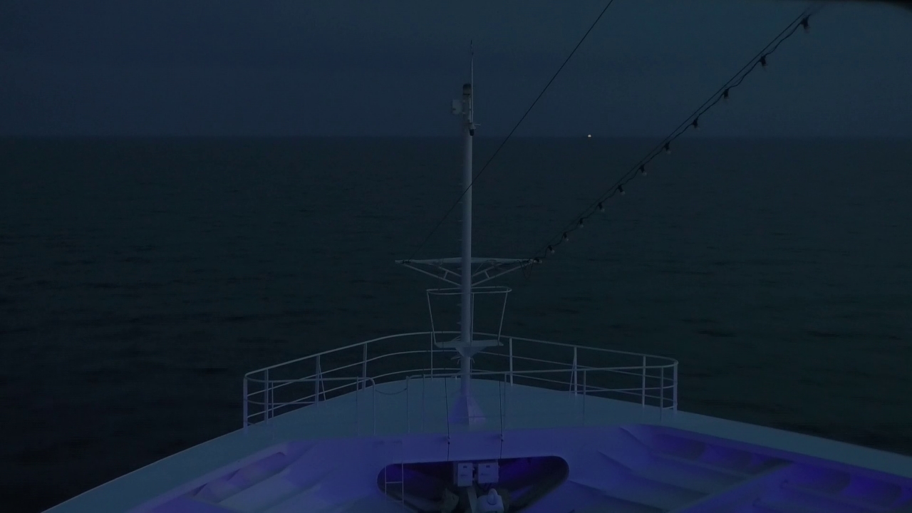 Bugcam MS Amadea
