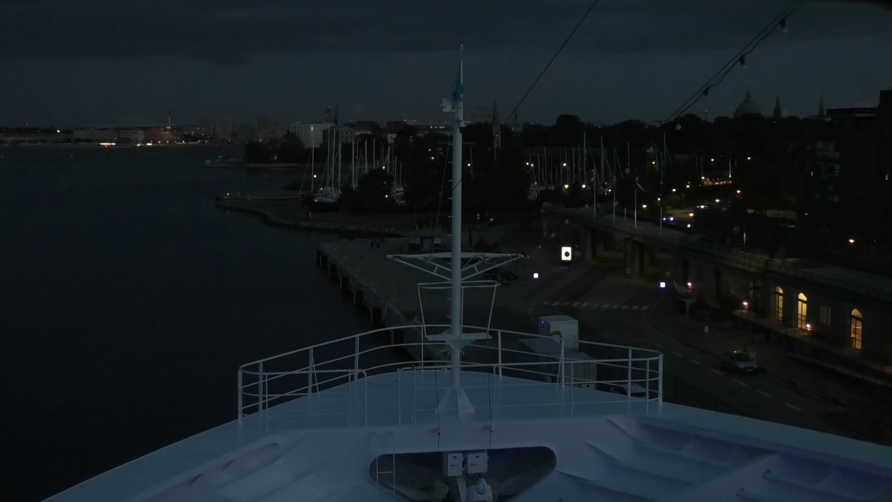Bugcam MS Amadea