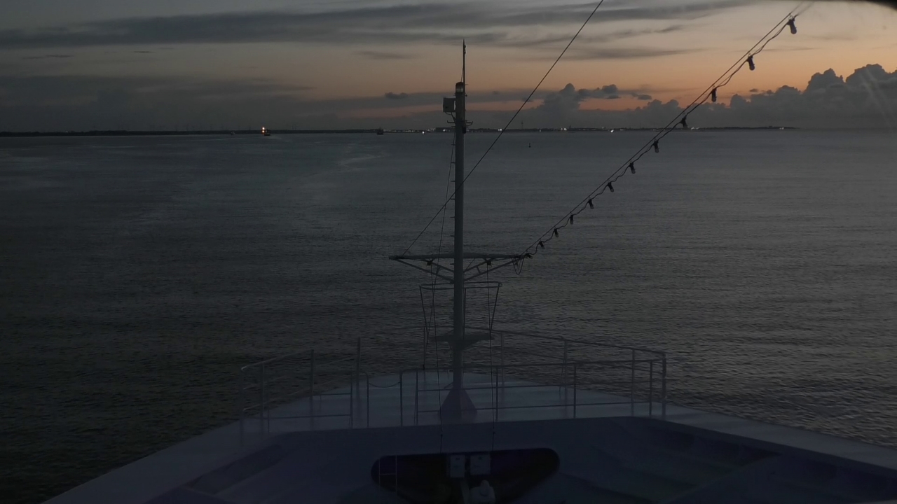 Bugcam MS Amadea