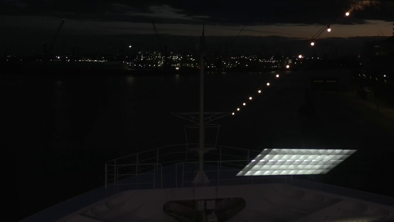 Bugcam MS Amadea