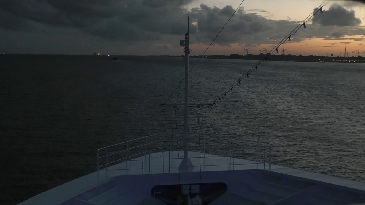 Bugcam MS Amadea