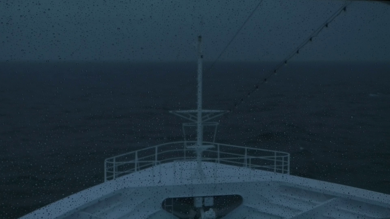 Bugcam MS Amadea