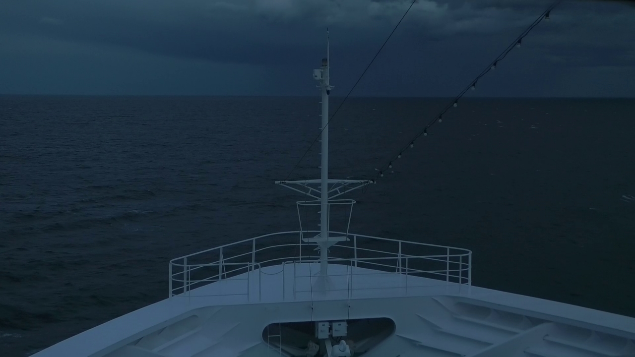 Bugcam MS Amadea