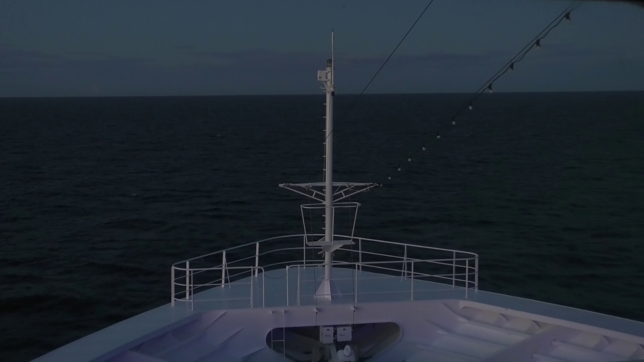 Bugcam MS Amadea