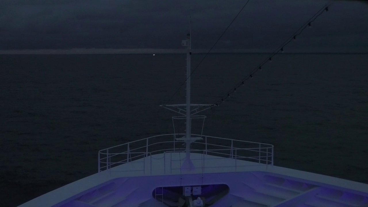 Bugcam MS Amadea