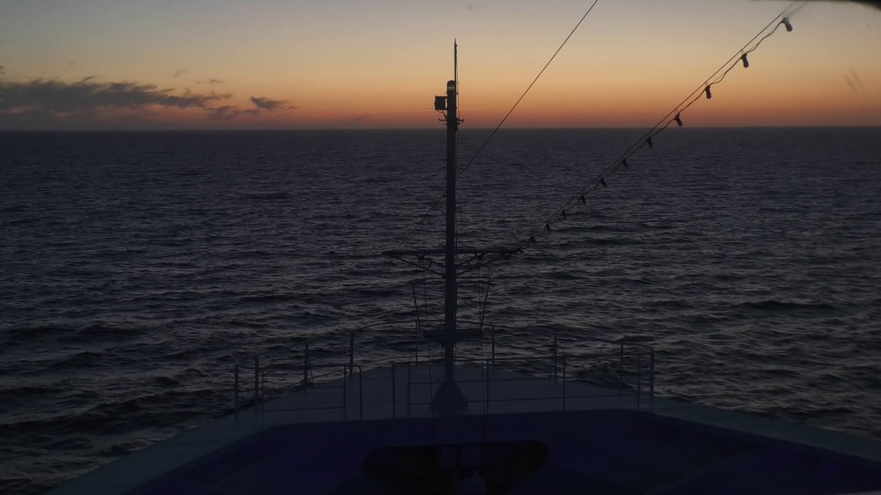 Bugcam MS Amadea