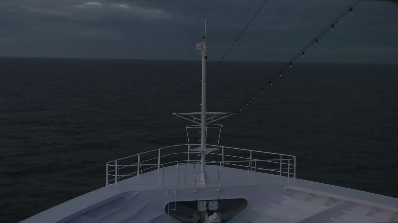 Bugcam MS Amadea