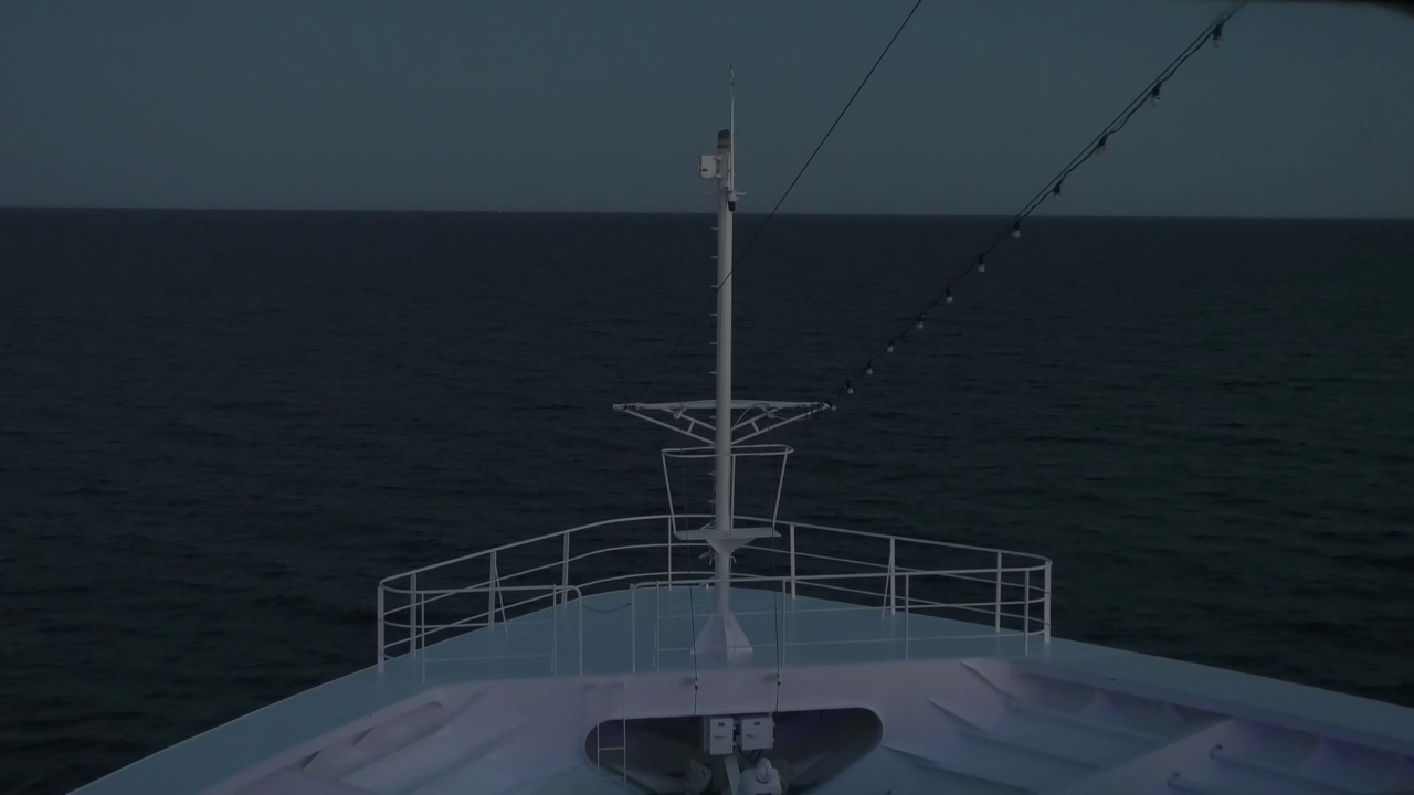 Bugcam MS Amadea