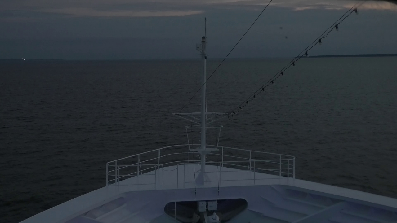 Bugcam MS Amadea