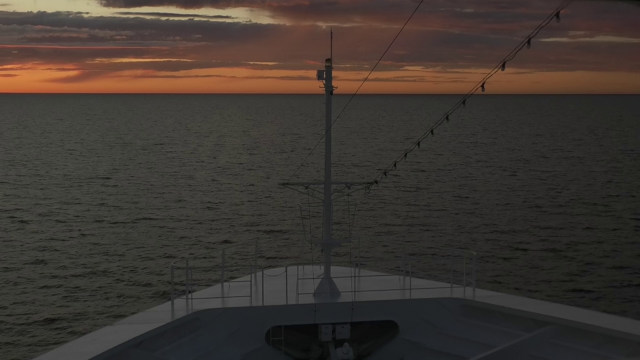 Bugcam MS Amadea