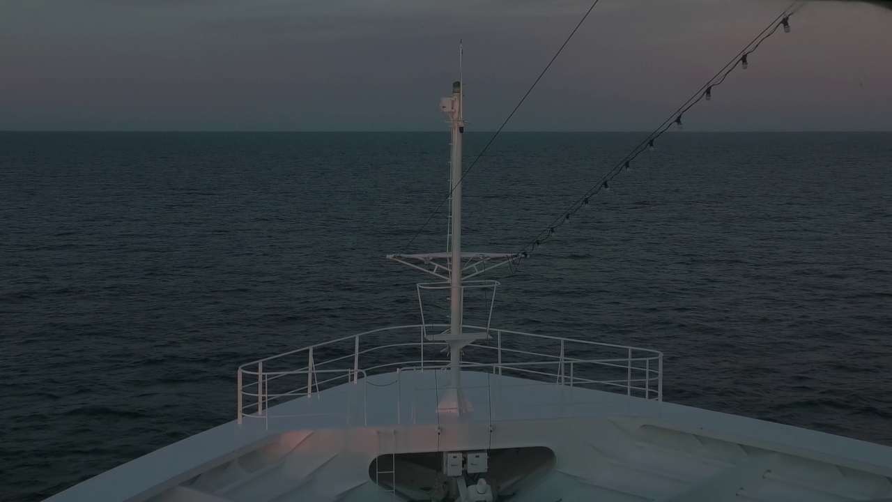 Bugcam MS Amadea