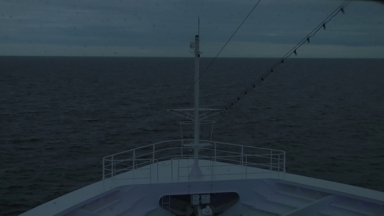 Bugcam MS Amadea