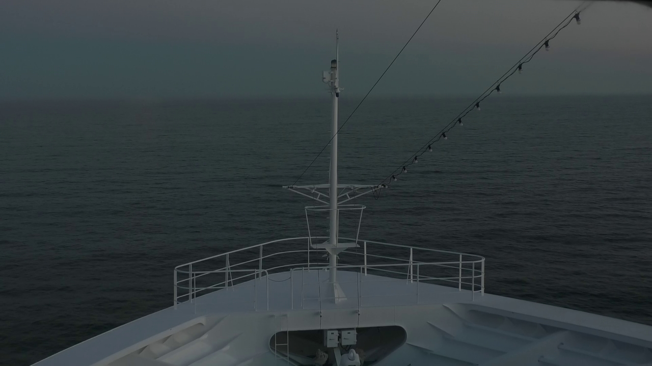 Bugcam MS Amadea