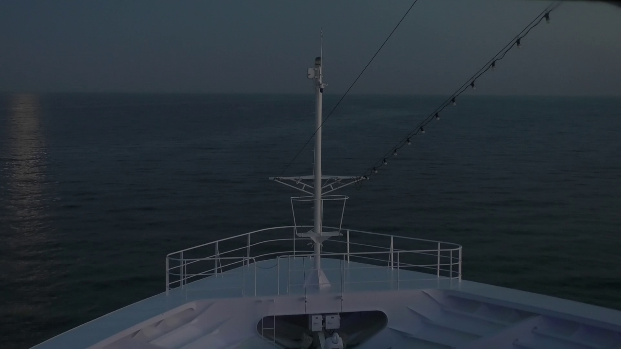 Bugcam MS Amadea