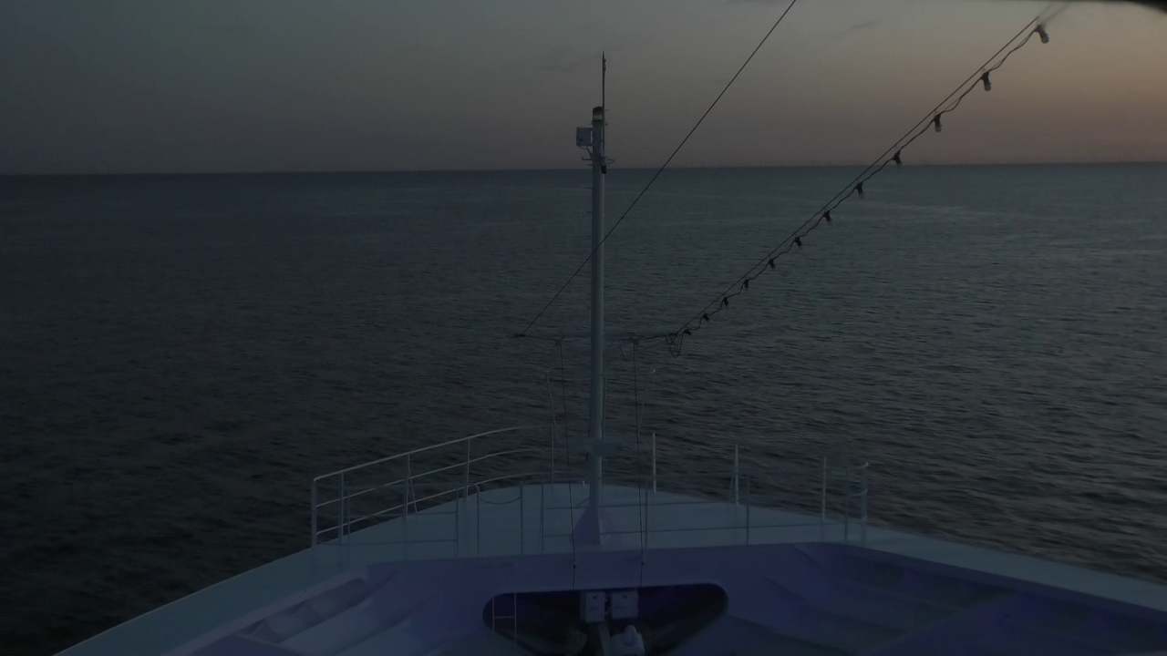 Bugcam MS Amadea