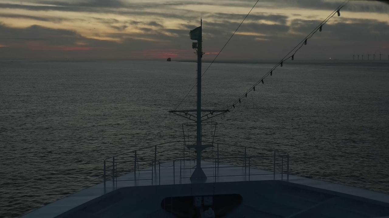 Bugcam MS Amadea