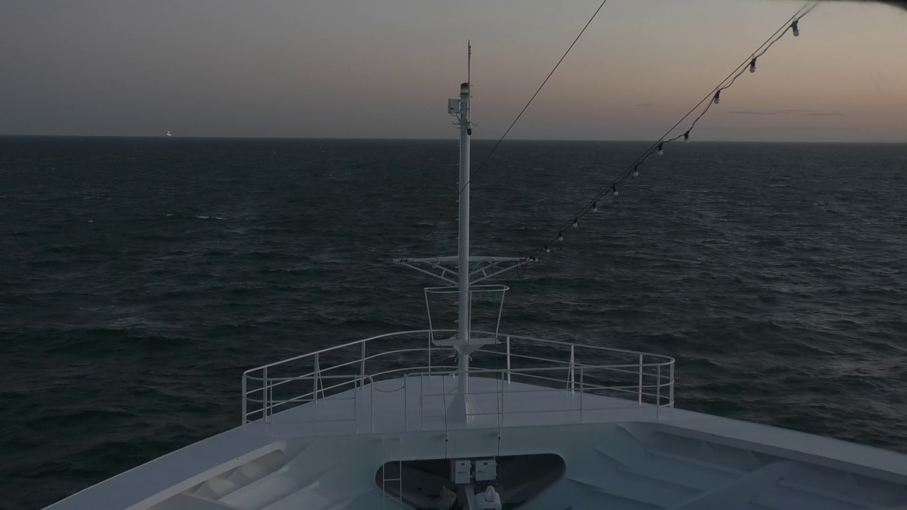 Bugcam MS Amadea
