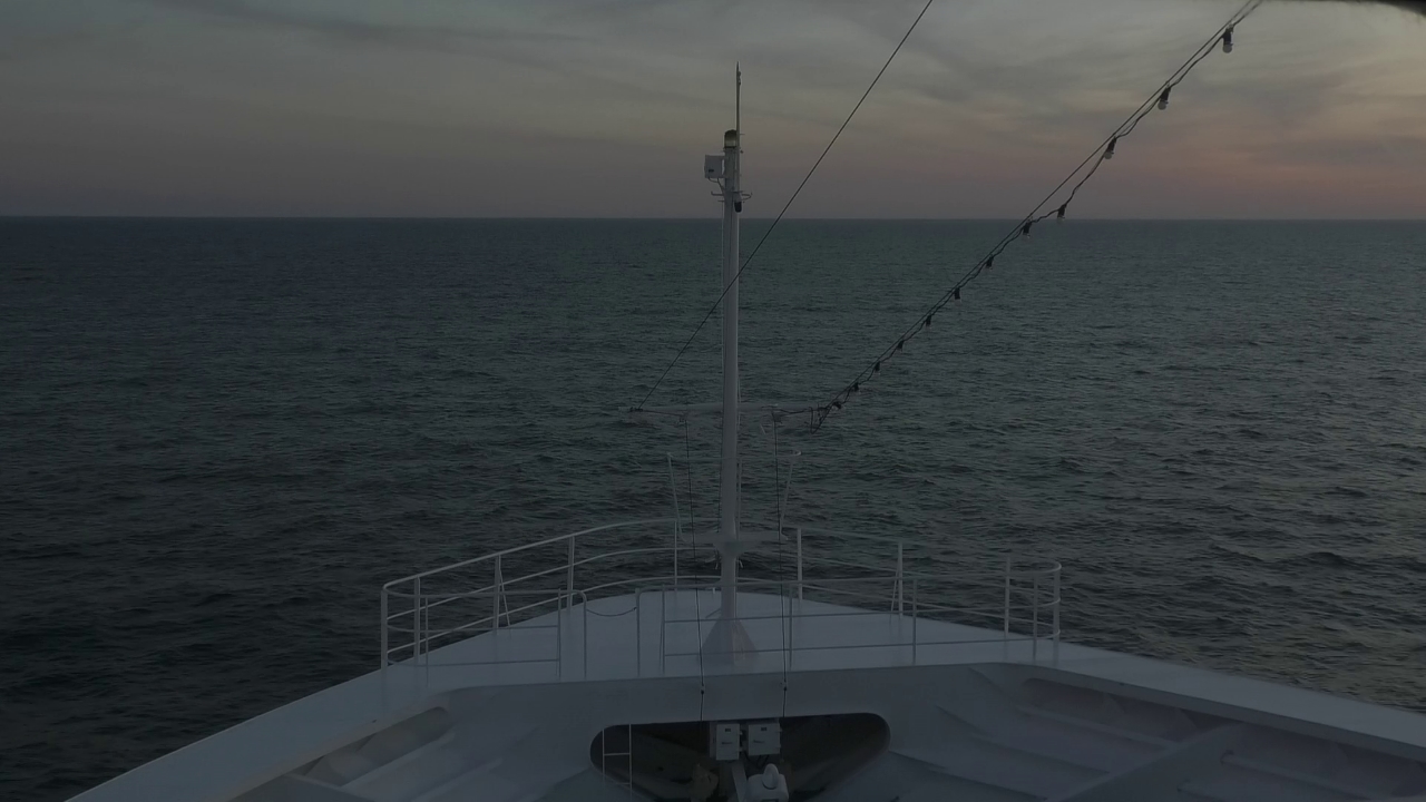 Bugcam MS Amadea