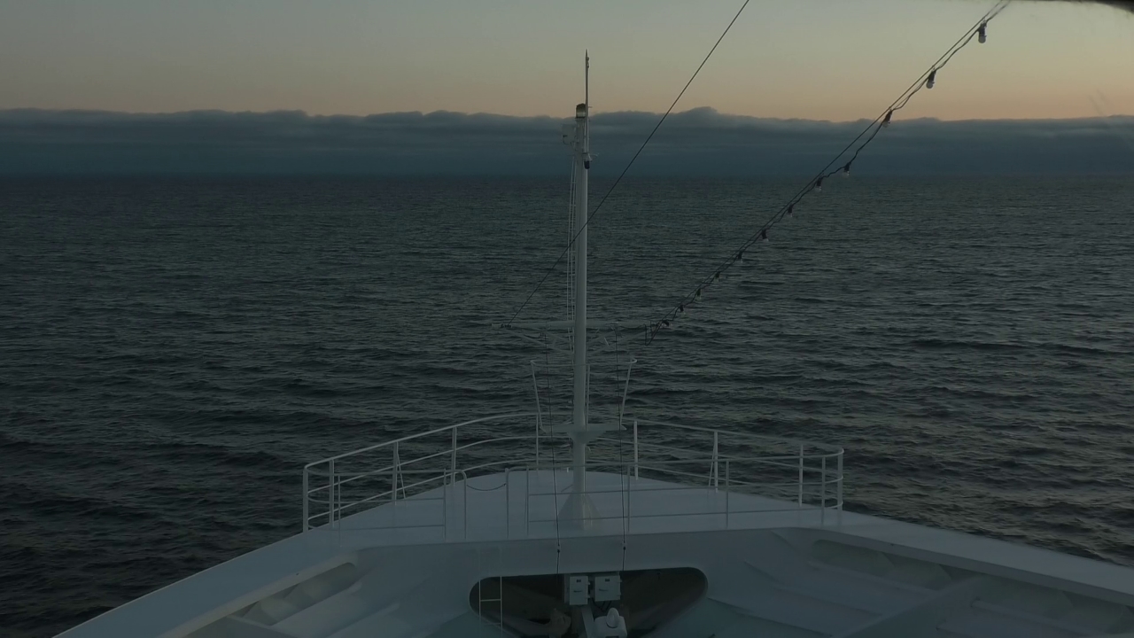 Bugcam MS Amadea