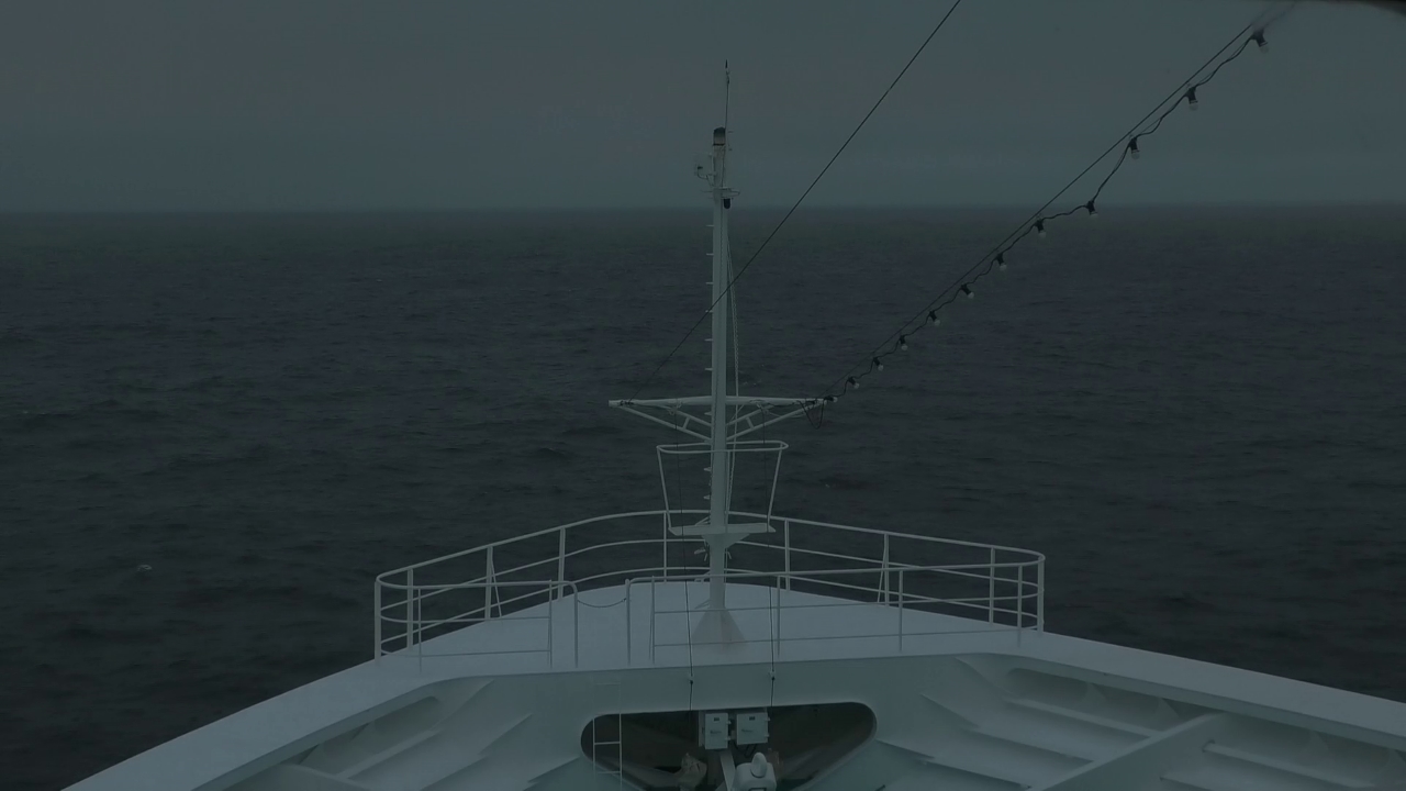Bugcam MS Amadea