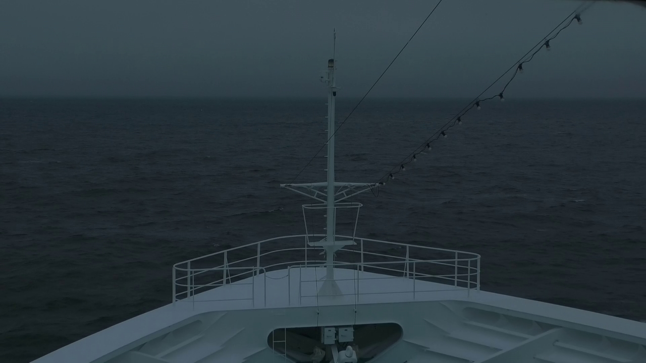Bugcam MS Amadea