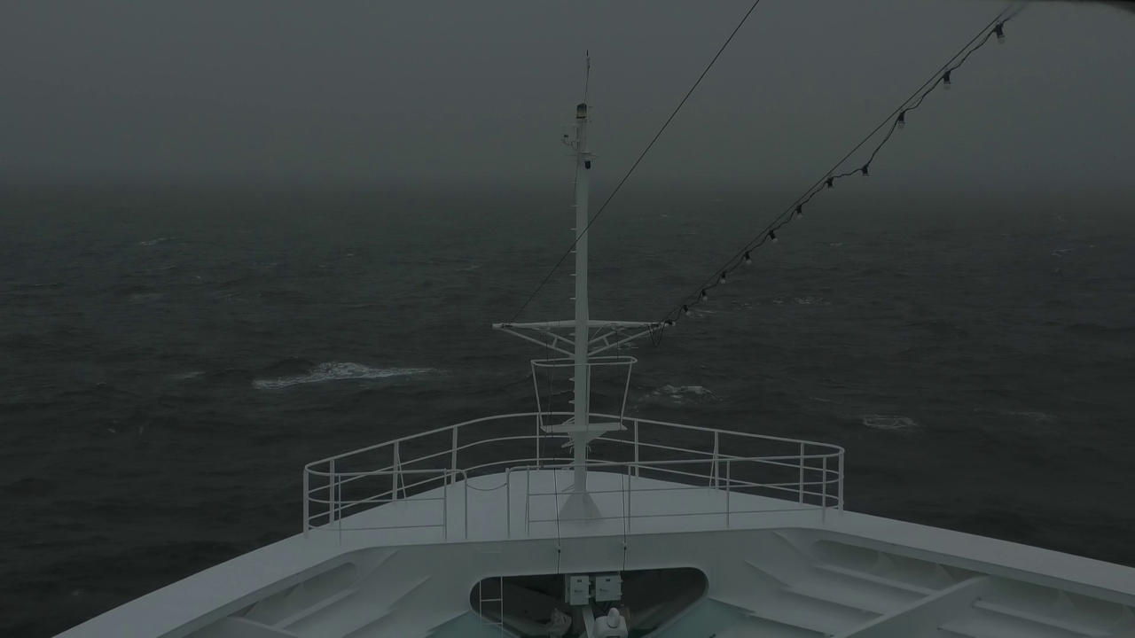 Bugcam MS Amadea