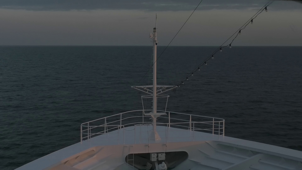 Bugcam MS Amadea
