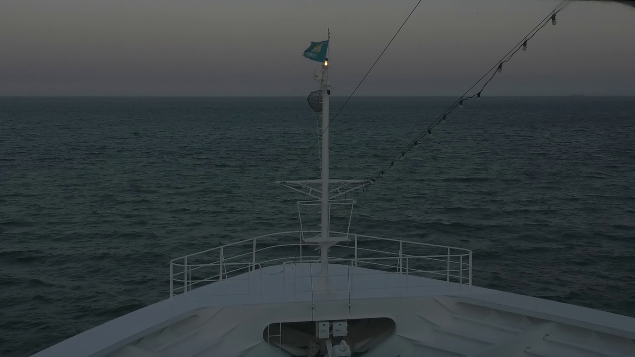 Bugcam MS Amadea