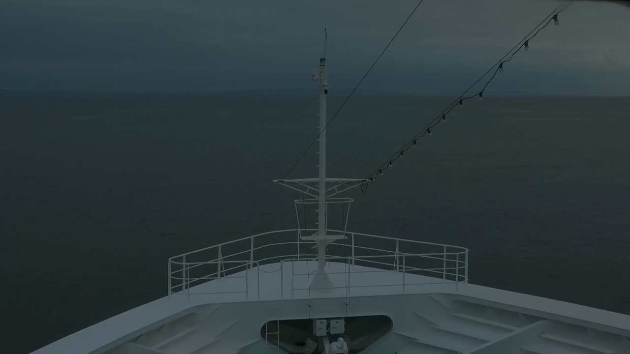 Bugcam MS Amadea