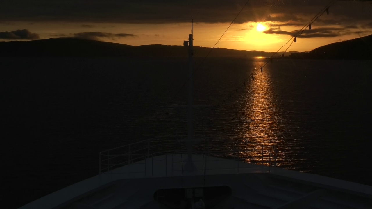 Bugcam MS Amadea