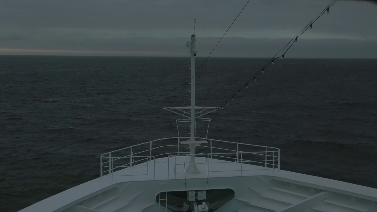 Bugcam MS Amadea