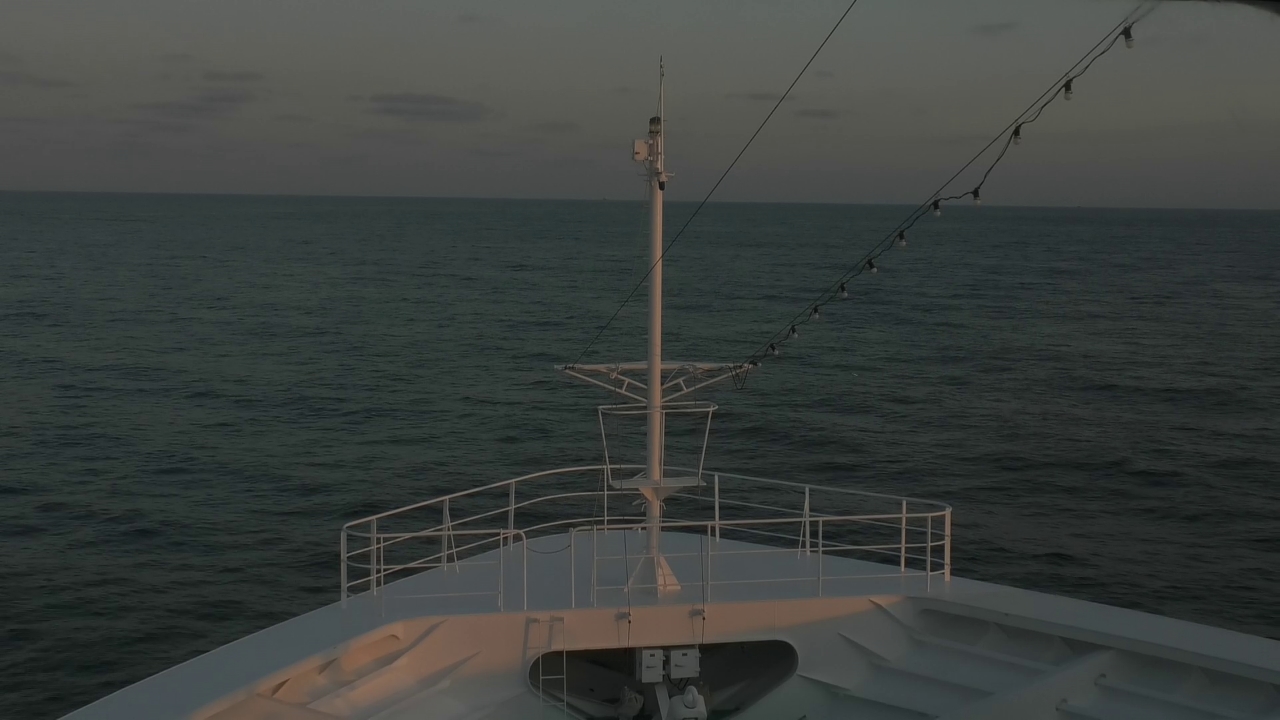 Bugcam MS Amadea