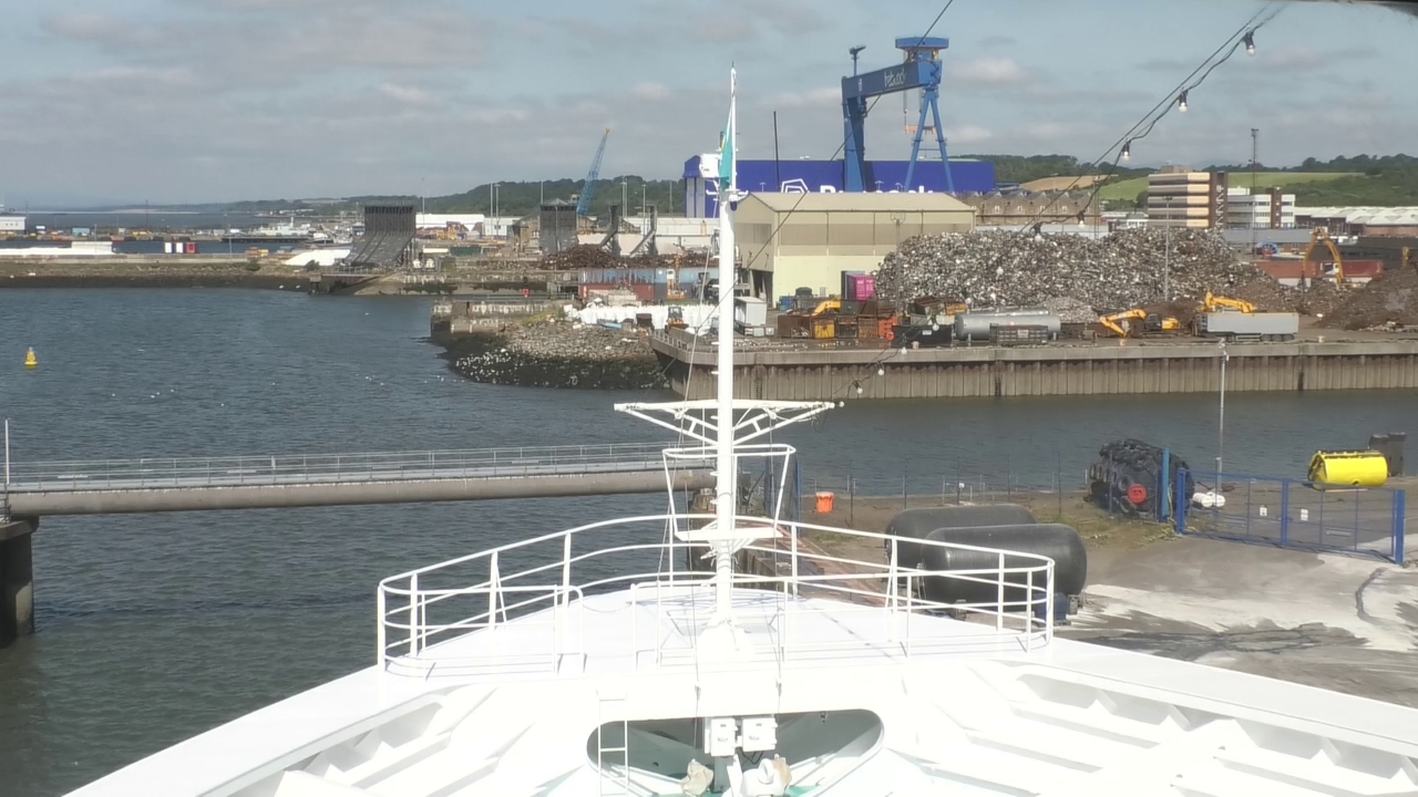 Bugcam MS Amadea