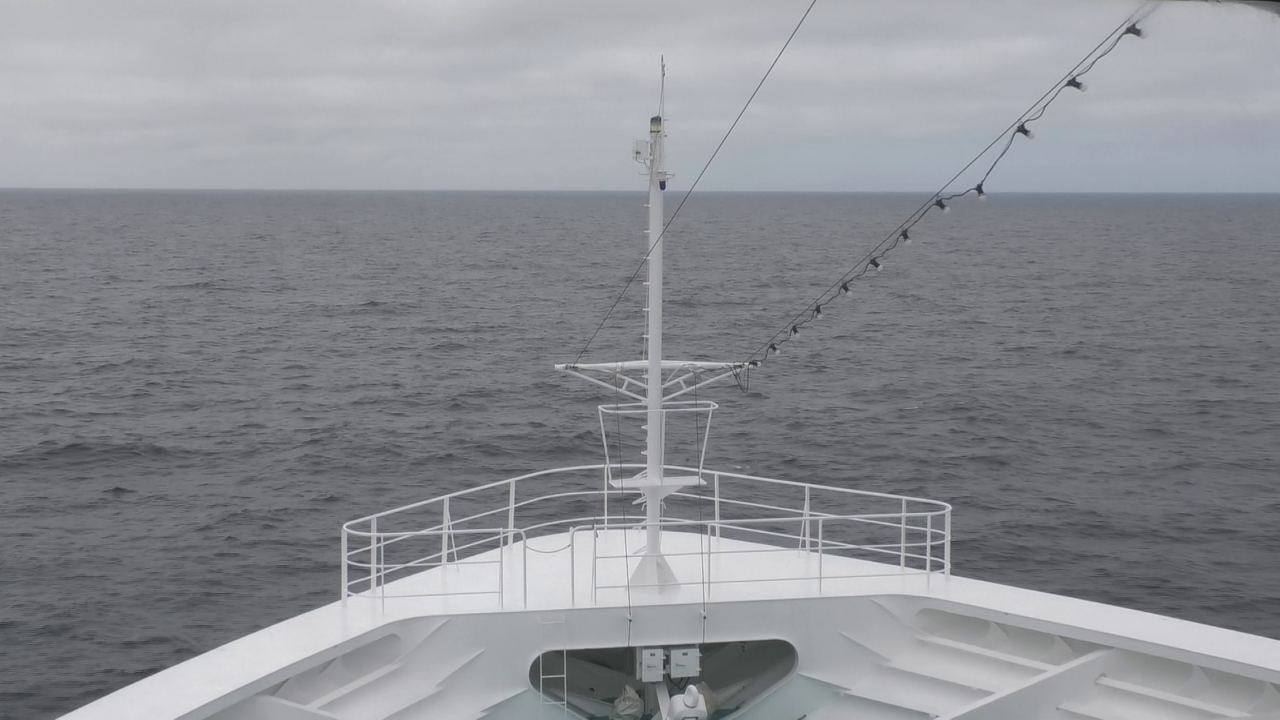 Bugcam MS Amadea
