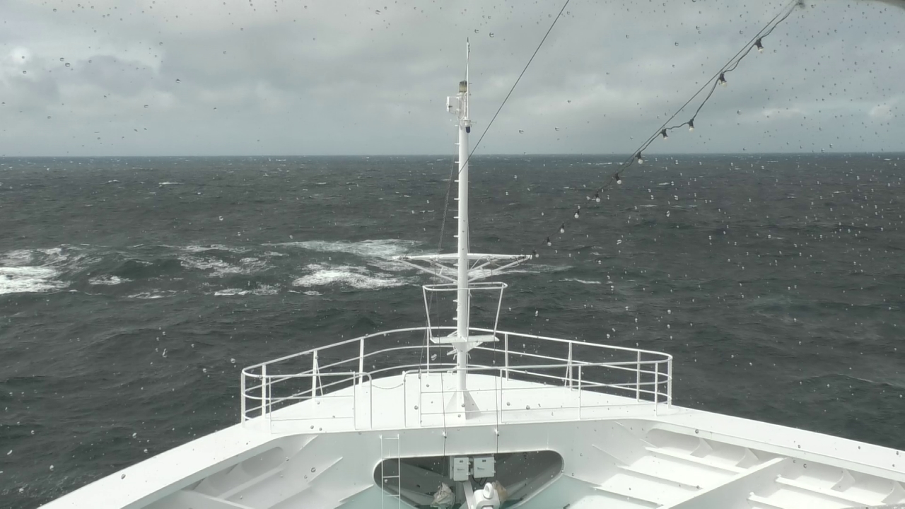Bugcam MS Amadea