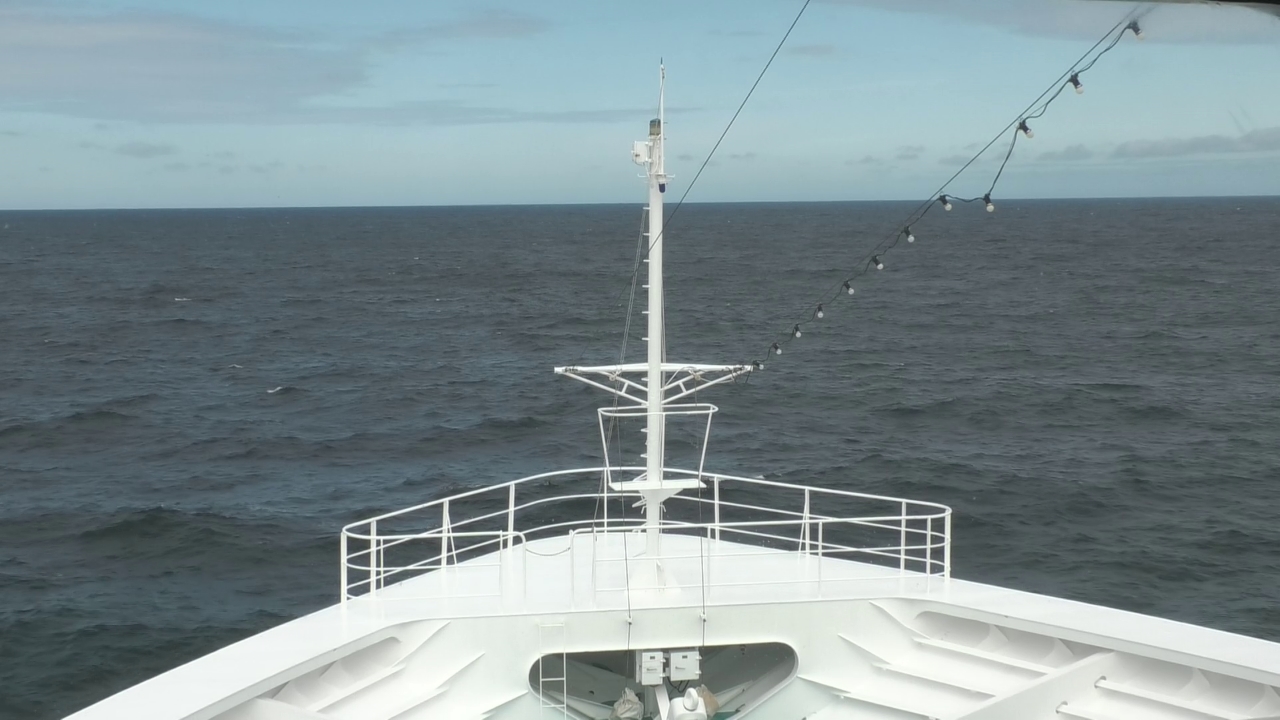 Bugcam MS Amadea