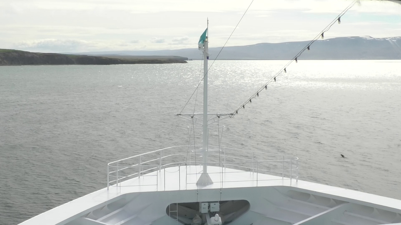Bugcam MS Amadea