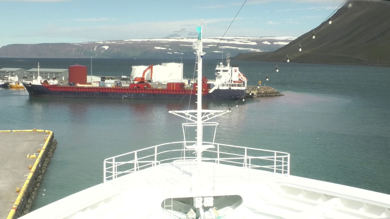 Bugcam MS Amadea