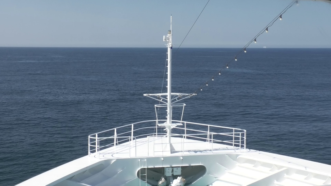 Bugcam MS Amadea