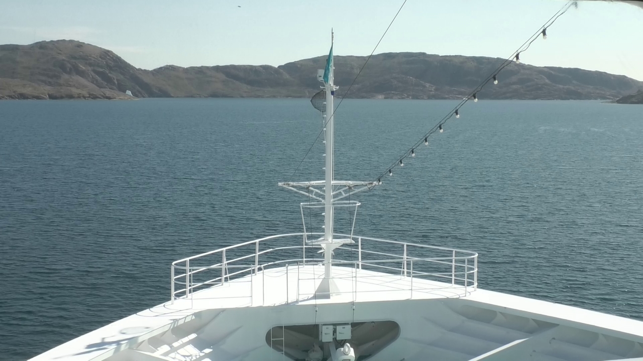 Bugcam MS Amadea