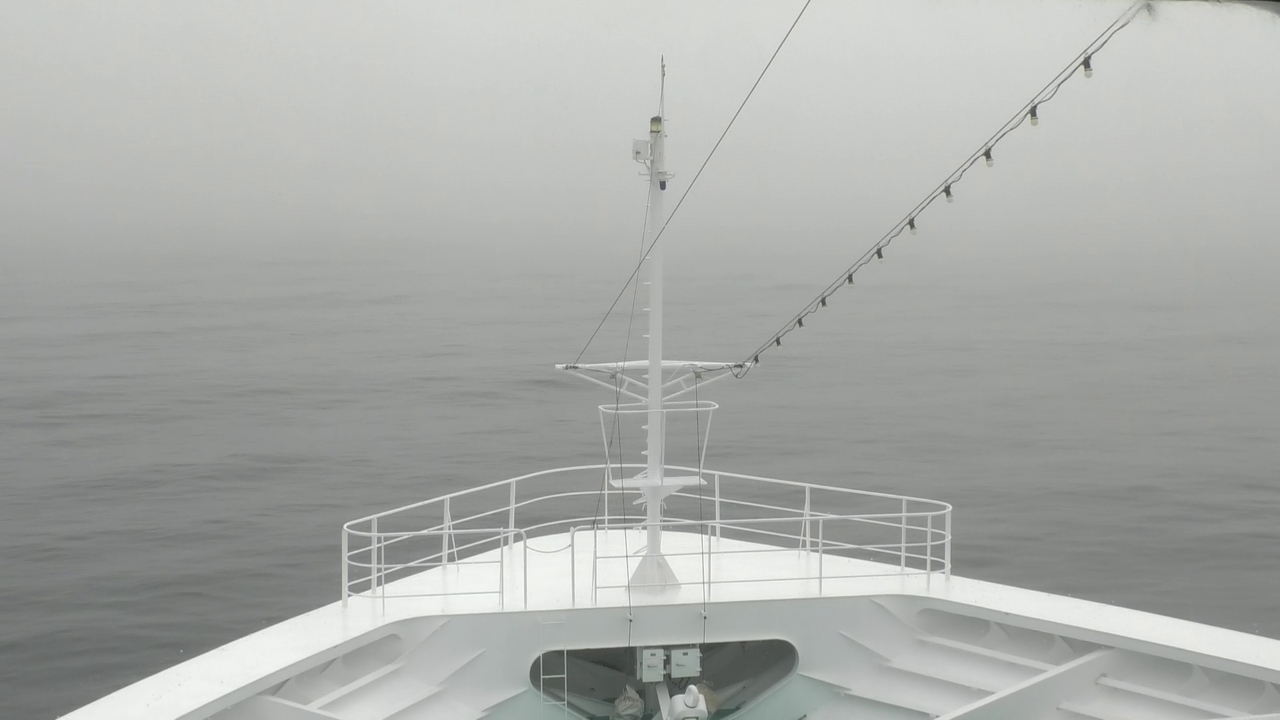 Bugcam MS Amadea