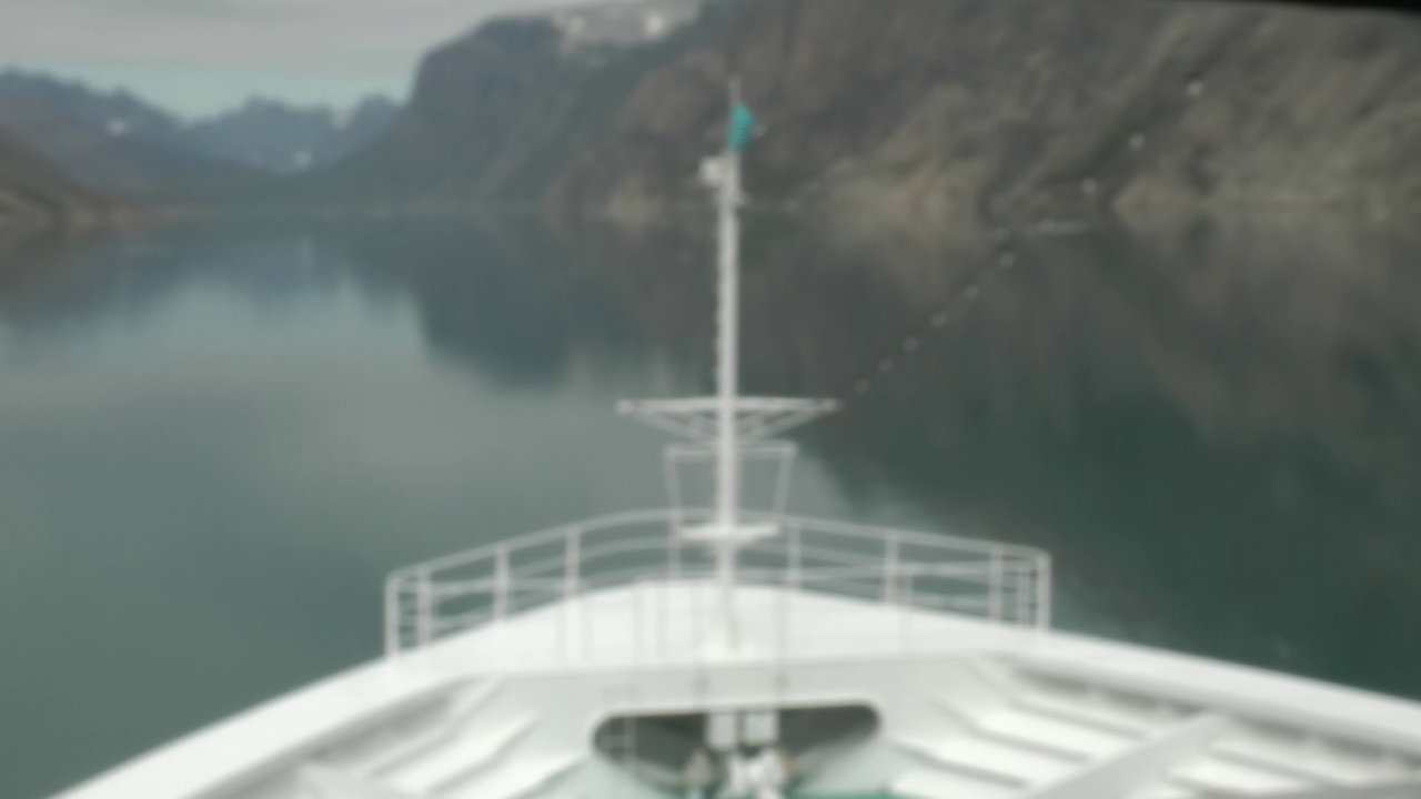 Bugcam MS Amadea