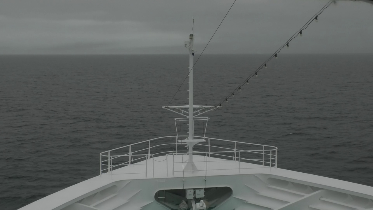 Bugcam MS Amadea