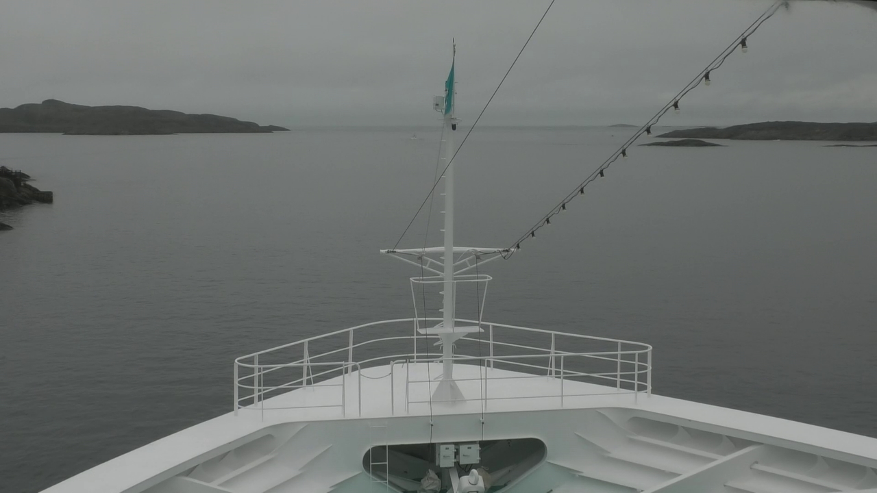 Bugcam MS Amadea